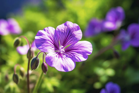A close-up of a purple flower blossom in a garden setting.