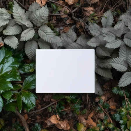 A blank white card sits on a background of green leaves, with a focus on the card and the leaves.の写真素材