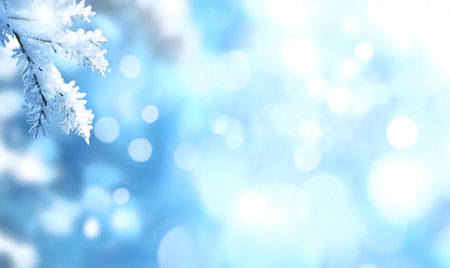 Snowy branch, winter wonderland, frosty, light blue background