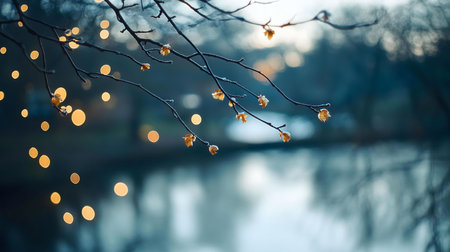 A serene winter scene featuring frosty branches adorned with soft lights, reflecting in a tranquil body of water.の写真素材