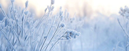 Close-up view of frost-covered plants in a winter field. Serenity and peace.の写真素材