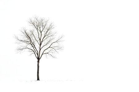 A single, leafless tree stands in a snowy field against a bright white background.