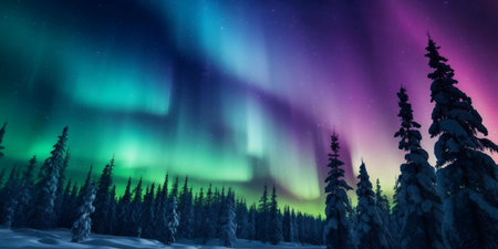 Magical aurora borealis dancing above a snow covered forest at night.の写真素材