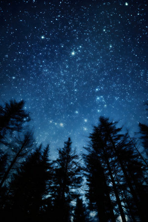 Silhouetted trees reach towards a breathtaking starry night sky, creating a serene and magical...