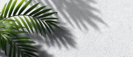 Palm leaf and shadow cast on a textured white wall. Summer vibes.