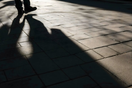 Intriguing shadows cast on a paved pathway, and captivating interplay of light and darkness.の写真素材