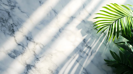 Sunlight beams across a marble surface, highlighting a lush palm leaf. Serene, minimalist style.の写真素材