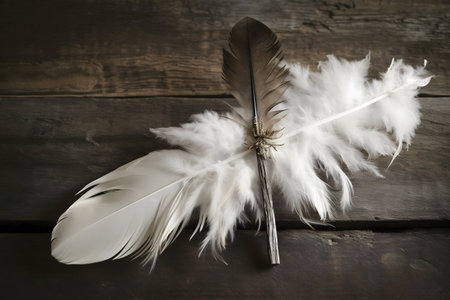 Two feathers, one white, one brown, rest on aged wood. A calming image.