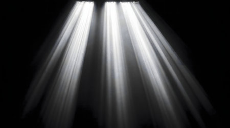 Striking black and white image of light rays emanating from a source in the dark.