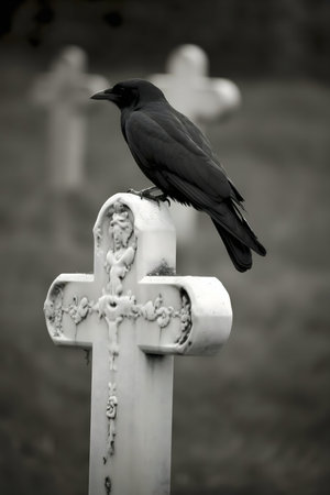 A black crow perches atop a white cross in a cemetery. A monochromatic image evoking themes of mortality and reflection.の写真素材