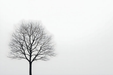 A single, leafless tree stands in a foggy landscape. The monochrome image conveys a sense of serenity.の写真素材