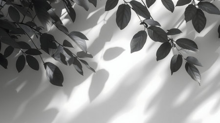 Elegant grayscale image of leaves and their shadows on a wall.