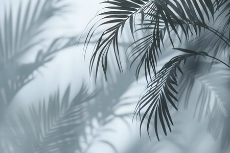 Subtle palm leaf shadows on a soft, light background. Perfect for design.の写真素材