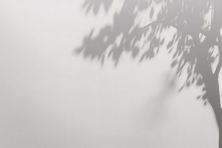 A grayscale image showing the shadow of a tree projected onto a light gray wall. The image highlights the interplay of light and shadow.の写真素材