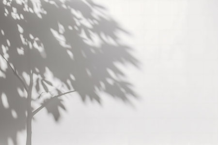 Soft shadows of leaves on a wall. A grayscale image evokes peace.の写真素材