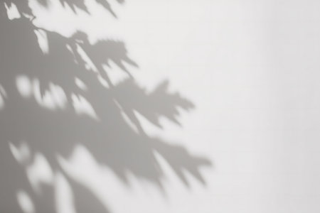 Subtle leaf shadows cast on a white wall. Minimalist and serene image.