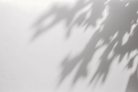 Soft leaf shadows cast on a white wall. Minimalist and serene image.