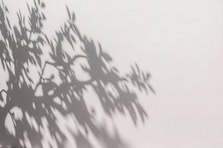 Soft shadow of leaves and branches cast on a wall.