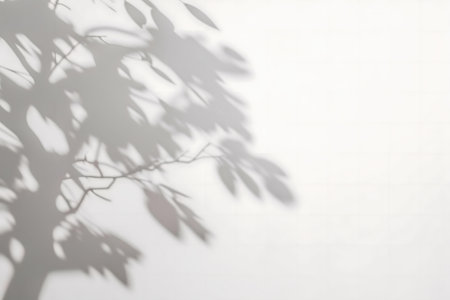 Soft gray shadow of leaves and branches on a white wall. Serene nature abstractの写真素材