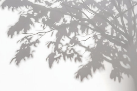 A tranquil image of a tree branch silhouette cast on a white wall. Soft light and shadow create a peaceful atmosphereの写真素材