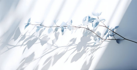 A serene image of a blue-toned branch casting shadows on a white background. Minimalist, botanical, and tranquil.の写真素材