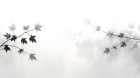 Monochromatic image of maple leaves in misty setting.の写真素材