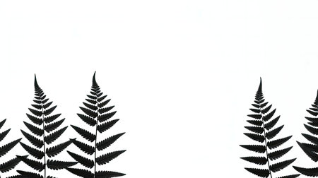 Elegant black fern silhouettes on a white background. Minimalist botanical art.の写真素材