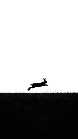 A striking black and white image of a hare in mid-leap, captured against a bright background.の写真素材