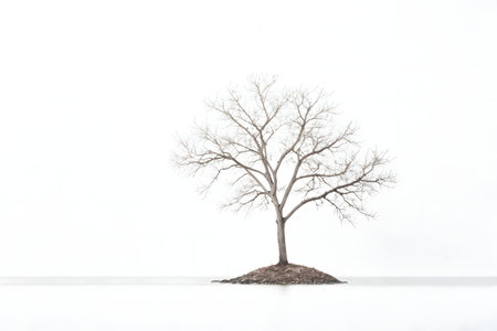 A single, leafless tree stands on a small island in a still lake under a bright sky. Minimalist,...