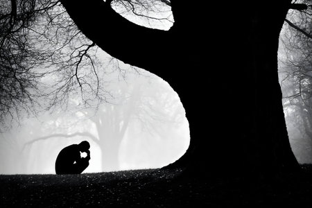 A solitary figure sits beneath a large tree in a misty forest, conveying feelings of sadness and isolation.の写真素材