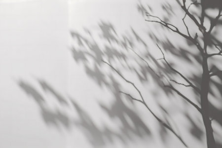 Subtle grayscale image depicting the shadow of a tree branch cast upon a white wall. Minimalist and stylish.の写真素材