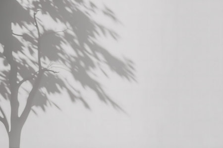 Shadow of a tree on a white wall, creating a grayscale image.の写真素材