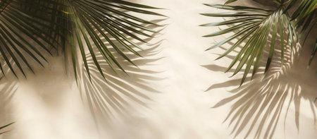 Palm leaves cast shadows on a beige background. Minimalist and serene.の写真素材