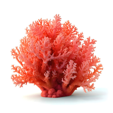 Close-up view of a vibrant red coral isolated on white background.の写真素材