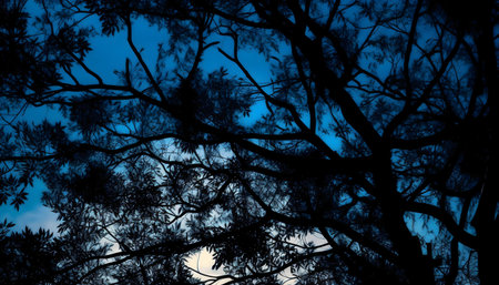 A captivating image of a tree's silhouette, branches intricately set against a deep blue twilight...