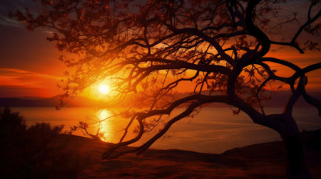 A stunning sunset illuminates the silhouette of a tree against a fiery sky over a calm ocean.