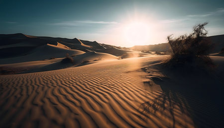 Stunning sunset over rolling sand dunes in a desert. Peaceful and serene landscape.の写真素材