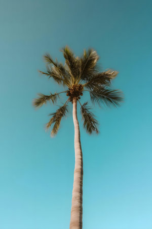 Tall palm tree against a vibrant blue sky. Summer vibesの写真素材