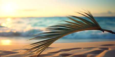 A palm frond rests on a sandy beach as the sun sets over the tropical ocean.の写真素材
