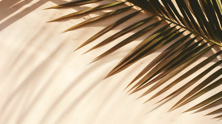 Palm leaf casting shadows on a beige background. Summer vibes.の写真素材