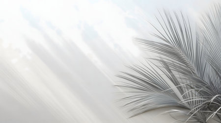 Silver palm leaves against a bright background. Minimalist, serene, elegant.の写真素材