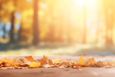 Golden autumn leaves scattered on ground, blurred forest background.の写真素材