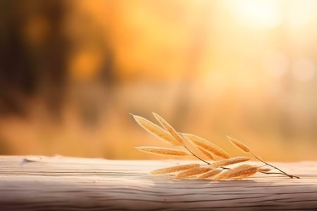 Golden hour light bathes a wood surface where dried autumnal plants rest. Peaceful image.の写真素材