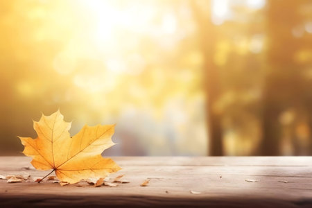 A single autumn leaf rests on a wooden surface, with a blurred forest background. Warm, autumnal colors dominate.の写真素材