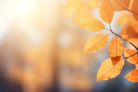 Close-up of autumn leaves bathed in sunlight.