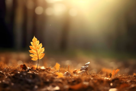 A single golden leaf stands in a forest, bathed in warm autumn sunlight. Serene beauty.