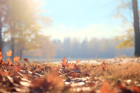 Crisp autumn day, fallen leaves, misty forest backgroundの写真素材