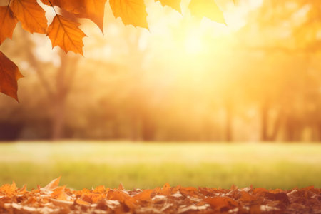 Golden sunlight filters through autumn leaves in a park. A serene scene of fall.の写真素材