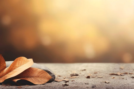 Dried leaves rest on a stone, blurred autumn background.の写真素材