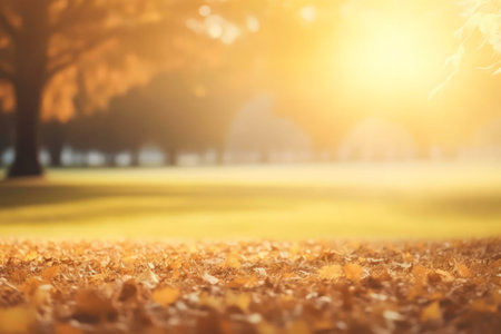 Golden autumn leaves cover the ground in a sun-drenched park.